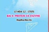 Protein, Enzyme là gì? tính chất hóa học, vật lí, cấu tạo của Protein, vai trò của Protein, Enzyme? Hóa 12 bài 8 CTST